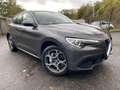 Alfa Romeo Stelvio Stelvio 2.0 T AWD*Q4*CAM*NAV*Dégats carrosserie Grau - thumbnail 1