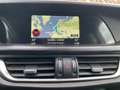 Alfa Romeo Stelvio Stelvio 2.0 T AWD*Q4*CAM*NAV*Dégats carrosserie Grau - thumbnail 20