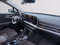 Kia Sportage 1.6 tgdi mhev Style mt Verde - thumbnail 15