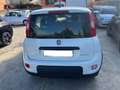 Fiat Panda 1.0 HYBRID Bianco - thumbnail 3