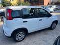 Fiat Panda 1.0 HYBRID Bianco - thumbnail 2
