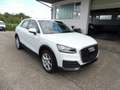 Audi Q2 Aus 2. Hand / sehr gepflegt Blanc - thumbnail 2