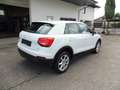 Audi Q2 Aus 2. Hand / sehr gepflegt Blanc - thumbnail 6