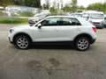 Audi Q2 Aus 2. Hand / sehr gepflegt Blanc - thumbnail 4