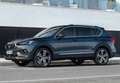 SEAT Tarraco 2.0TDI S&S Xcellence DSG 4Drive 150 Gris - thumbnail 46