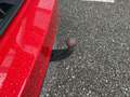 Skoda Octavia Style Limited TDI DSG Rot - thumbnail 8