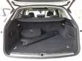 Audi Q5 SPORT 50 TFSIe quattro PHEV S-tr. *SKY / MATRIX... Weiß - thumbnail 15