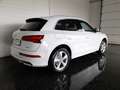 Audi Q5 SPORT 50 TFSIe quattro PHEV S-tr. *SKY / MATRIX... Weiß - thumbnail 2