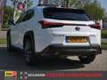 Lexus UX 250h Hybrid 184pk CVT F Sport Line | Schuifdak | Carpla Wit - thumbnail 9