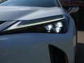 Lexus UX 250h Hybrid 184pk CVT F Sport Line | Schuifdak | Carpla Wit - thumbnail 15