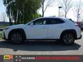 Lexus UX 250h Hybrid 184pk CVT F Sport Line | Schuifdak | Carpla Wit - thumbnail 11