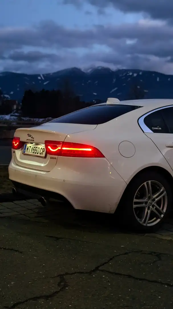 Jaguar XE 20t Pure Aut. Weiß - 2