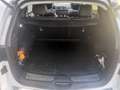 Renault Koleos dCi 175 4WD Initiale X-Tronic-Preis Verhandelbar - thumbnail 15