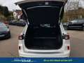 Ford Kuga Plug-In Hybrid ST-Line ST-LineHybrid 165 kW ( 2... Weiß - thumbnail 5