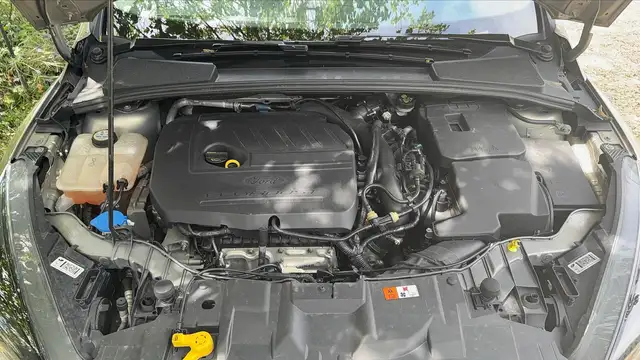 Ford Focus view 15