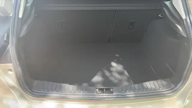 Ford Focus view 14