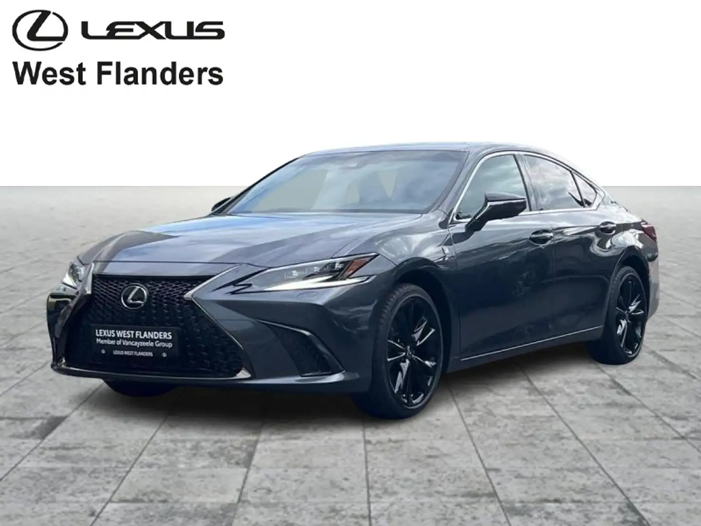 Lexus ES 300 F SPORT+360°+Mark Levinson Gris - 1