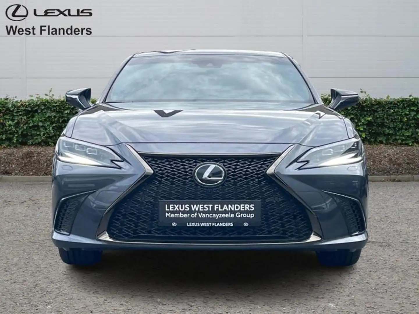 Lexus ES 300 F SPORT+360°+Mark Levinson Gris - 2
