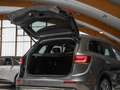 Renault Koleos Initiale Paris 4x4 dCi 185 4WD X-tronic INITIALE P Grau - thumbnail 8