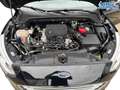 Ford Focus 1.0 EcoBoost Cool&Connect S/S 92 kW (125 PS), S... Noir - thumbnail 13