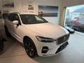 Volvo XC60 Plus Bright Recharge Plug-In Hybrid AWD *2.500km* Weiß - thumbnail 1