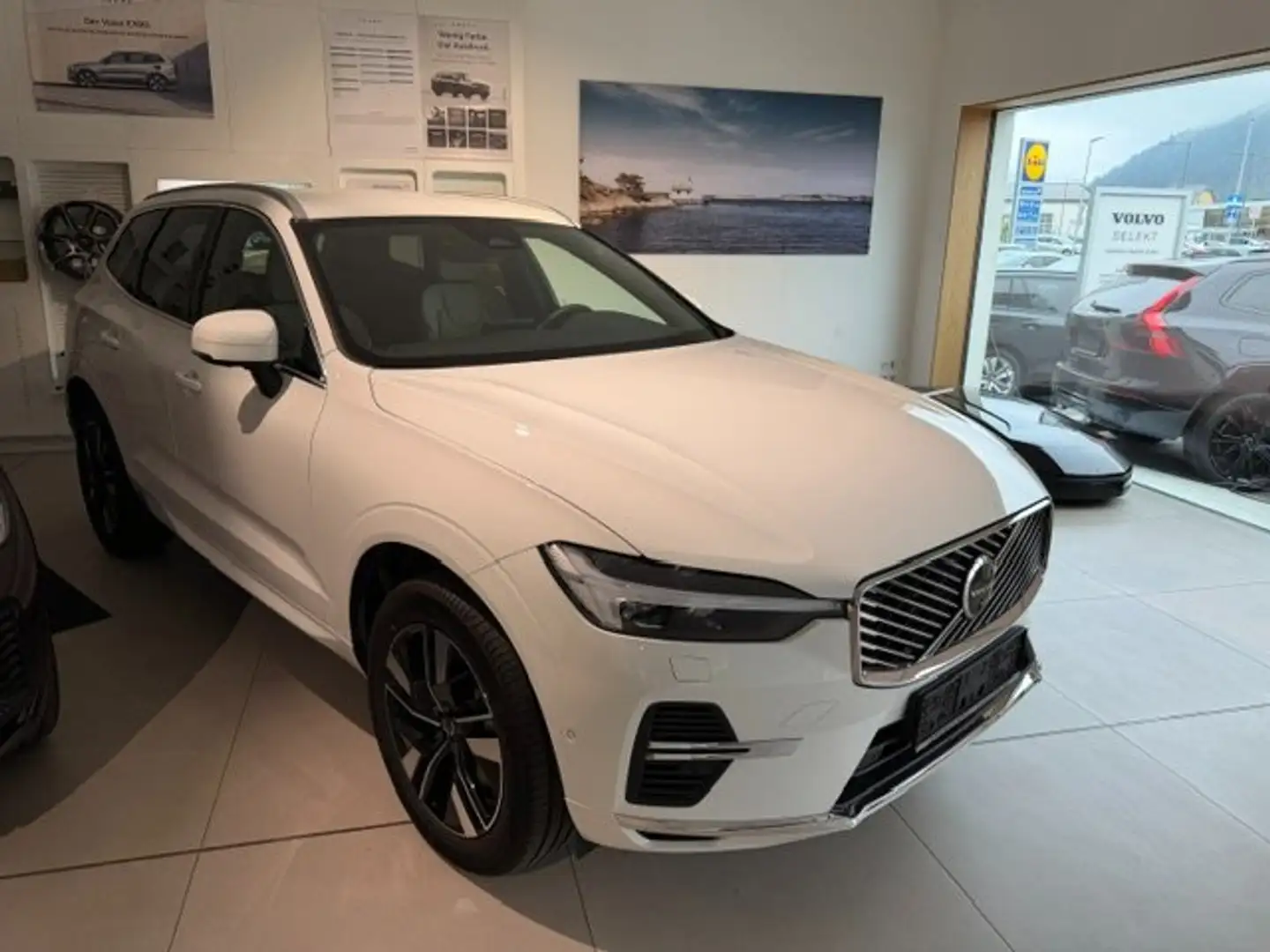 Volvo XC60 Plus Bright Recharge Plug-In Hybrid AWD *2.500km* Weiß - 1