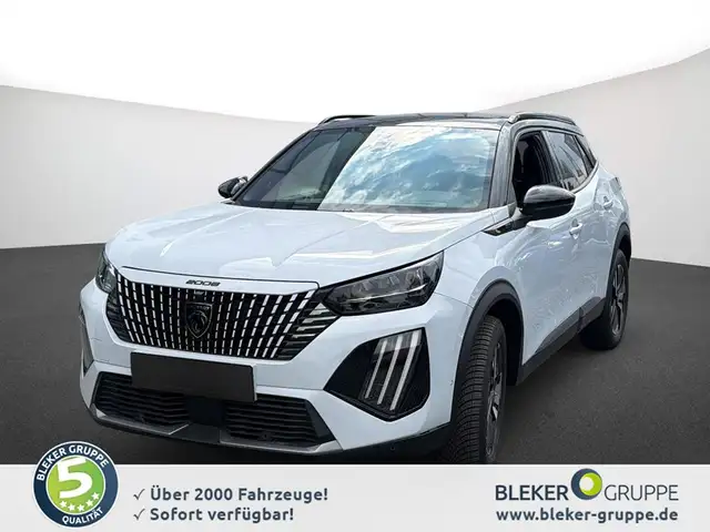 Peugeot 2008 main image
