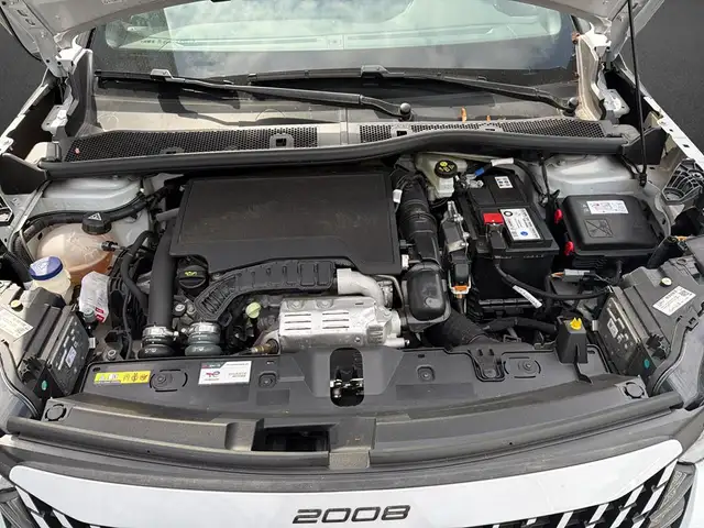 Peugeot 2008 view 5