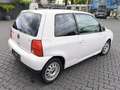 Volkswagen Lupo TDI 3L Blanc - thumbnail 6