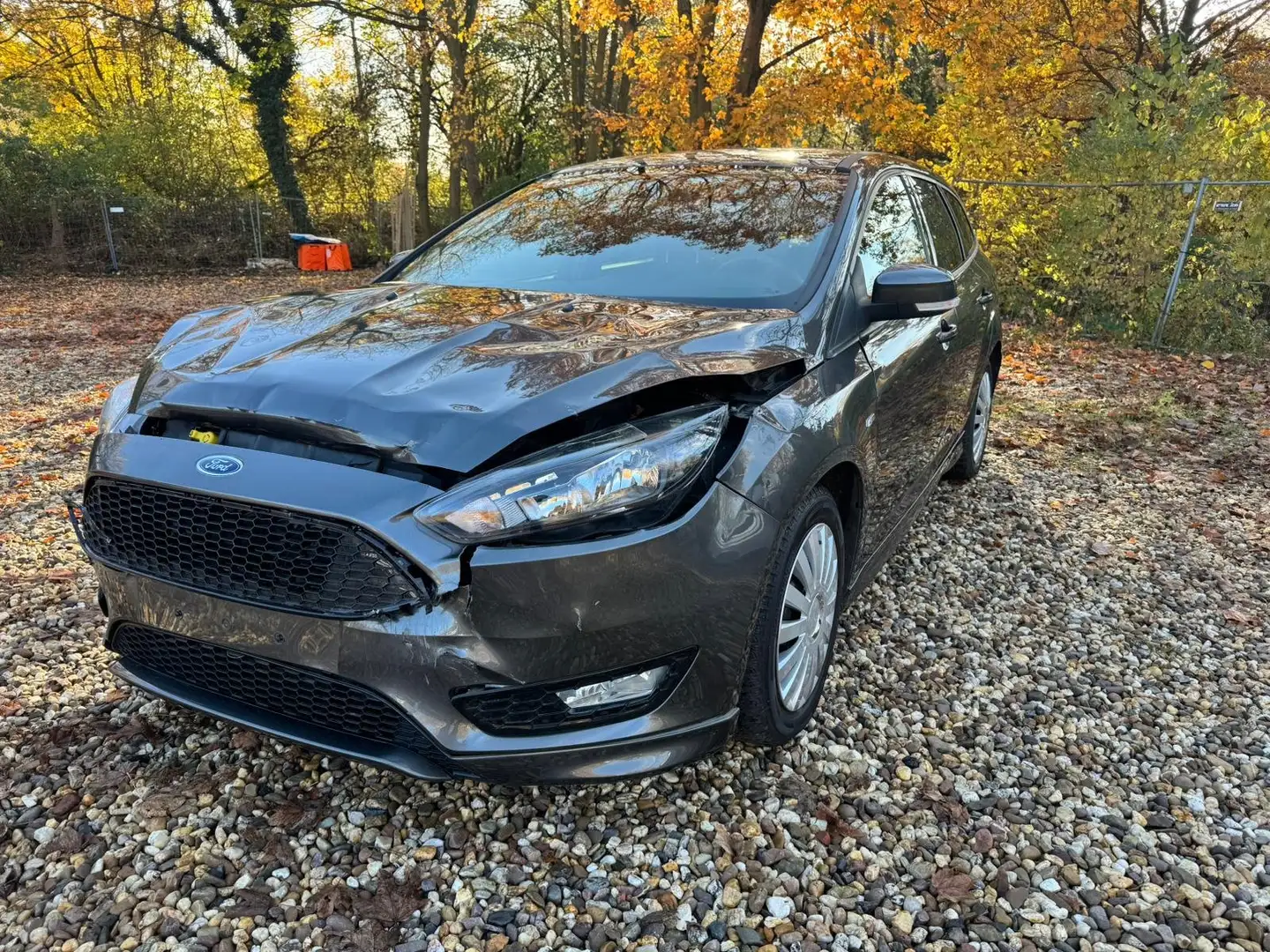 Ford Focus ST-Line Euro 6 Grau - 2