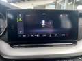 Skoda Octavia Premium TDI DSG Blau - thumbnail 28