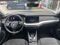Skoda Octavia Premium TDI DSG Blau - thumbnail 9