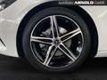 Mercedes-Benz B 200 B 200 4M Progressive Pano 360° Distr. MULTIBEAM Weiß - thumbnail 16