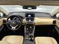 Lexus NX 300h AWD President Line | Panoramadak | Trekhaak | Mark Braun - thumbnail 5