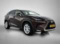 Lexus NX 300h AWD President Line | Panoramadak | Trekhaak | Mark Braun - thumbnail 15