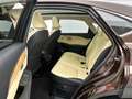 Lexus NX 300h AWD President Line | Panoramadak | Trekhaak | Mark Braun - thumbnail 19