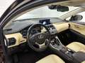 Lexus NX 300h AWD President Line | Panoramadak | Trekhaak | Mark Braun - thumbnail 48