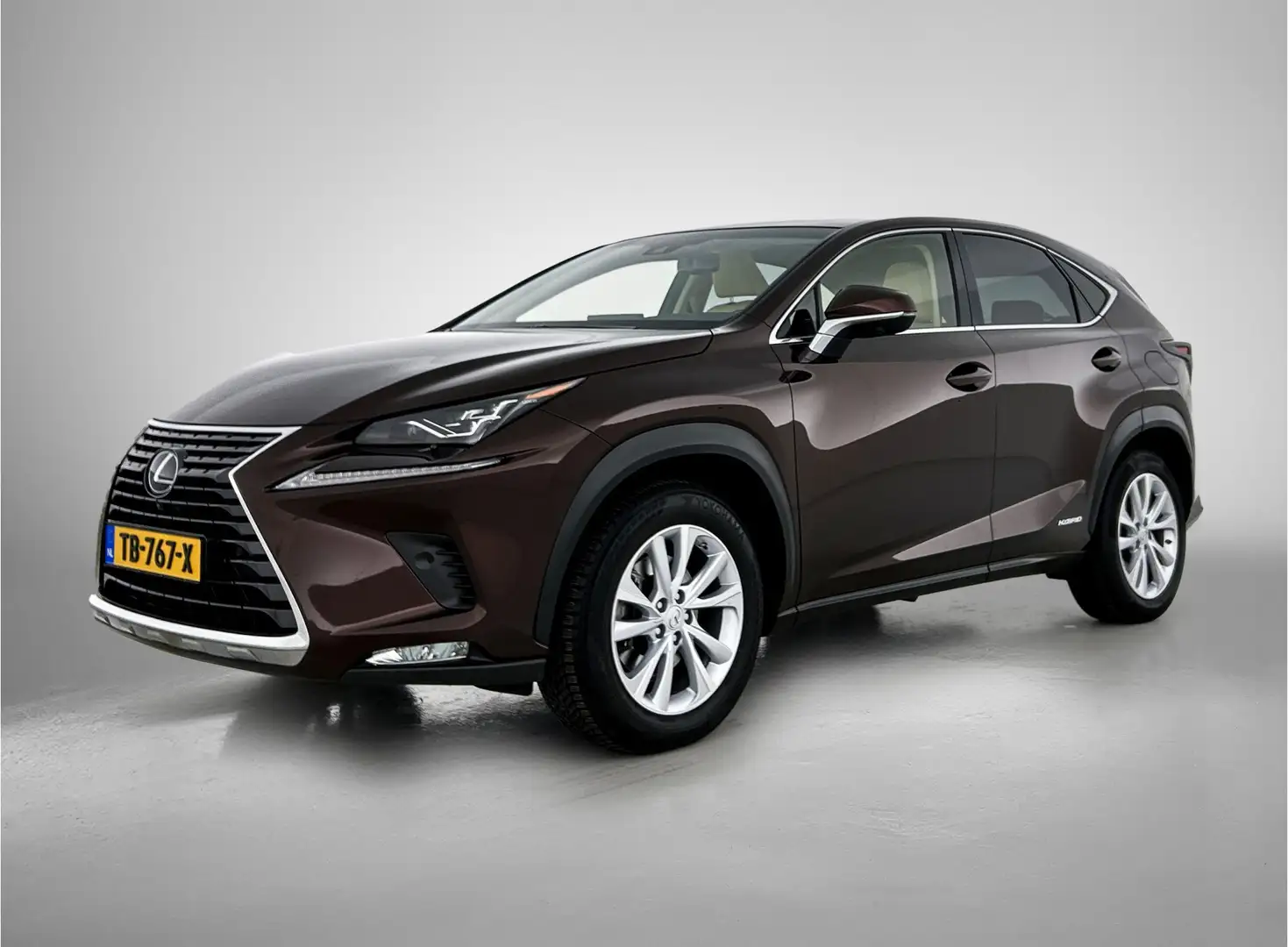 Lexus NX 300h AWD President Line | Panoramadak | Trekhaak | Mark Braun - 1