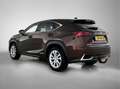 Lexus NX 300h AWD President Line | Panoramadak | Trekhaak | Mark Braun - thumbnail 16