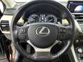 Lexus NX 300h AWD President Line | Panoramadak | Trekhaak | Mark Braun - thumbnail 20