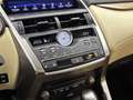 Lexus NX 300h AWD President Line | Panoramadak | Trekhaak | Mark Braun - thumbnail 11