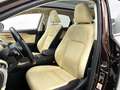 Lexus NX 300h AWD President Line | Panoramadak | Trekhaak | Mark Braun - thumbnail 18