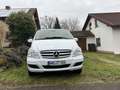 Mercedes-Benz Viano 2.2 CDI DPF kompakt 4Matic Automatik Trend Alb - thumbnail 3