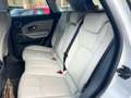 Land Rover Range Rover Evoque 5p 2.2 td4 Dynamic 150cv - thumbnail 12