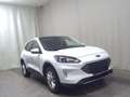 Ford Kuga 2.0 EB Titanium RfK Pano Navi LED DC ACC Weiß - thumbnail 3