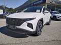 Hyundai TUCSON NX4 Prestige 1,6 T-GDi PHEV 4WD AUT PANODACH Weiß - thumbnail 2
