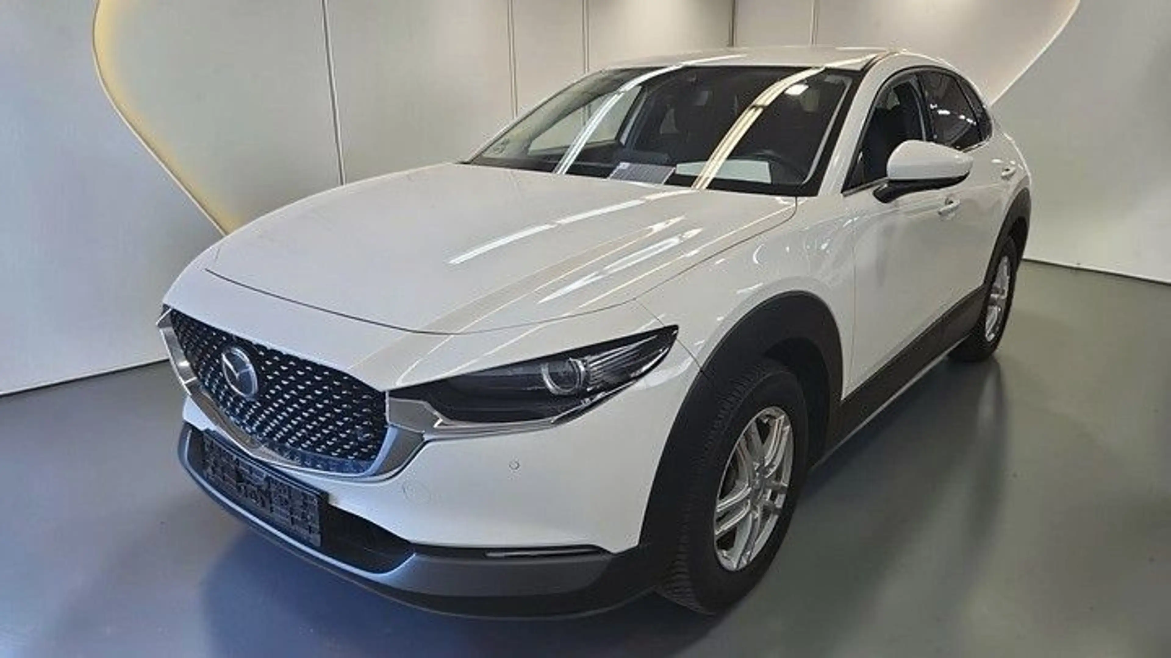 Mazda CX-3 0 Selection 2WD*BOSE*LED*NAVI*HEAD-UP*KAMERA