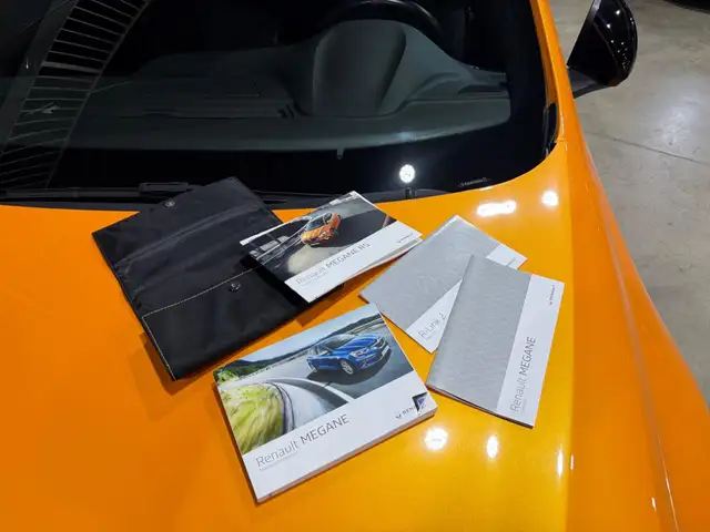 Renault Megane view 15