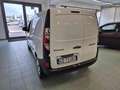 Renault Kangoo Blue dCi 95CV Express Furgone Ice Bianco - thumbnail 8