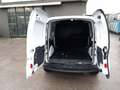 Renault Kangoo Blue dCi 95CV Express Furgone Ice Bianco - thumbnail 15
